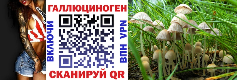 Галлюциногенные грибы Psilocybine cubensis  ссылка на мегу зеркало  Талдом 